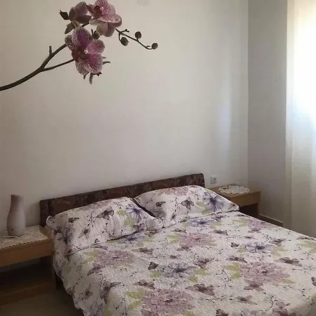 Orchidea * Vlasici